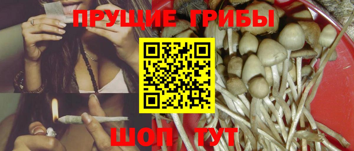 Псилоцибиновые грибы Psilocybe  Вход с VPN  Губкин 